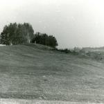 Šišponiškių piliakalnis. J. Nemanio nuotrauka, 1979 m.
